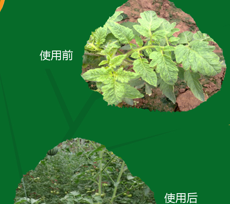 氯氟聯(lián)苯吡菌胺如何實現(xiàn)我國首家登記？
